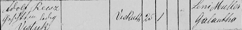 Záznam o sobáši Adolfa Reisza z Vištuka s Leni Mullerovou z Galanty. Sobáš mali 29.1.1873 v Galante.