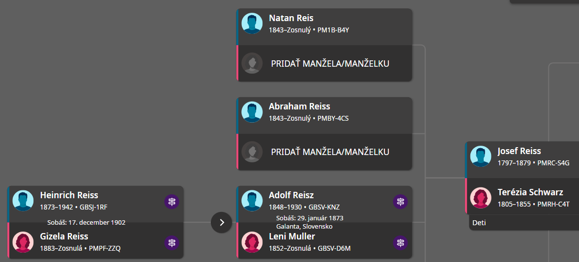 Rodokmeň rodiny Reiszovcov. Zdroj: familysearch.org.